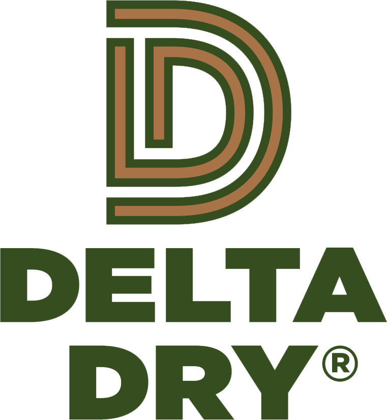 Delta dry logo